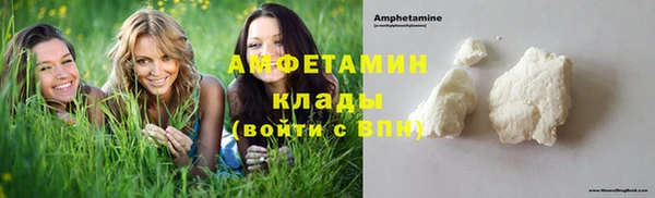 ГАЛЛЮЦИНОГЕННЫЕ ГРИБЫ Няндома