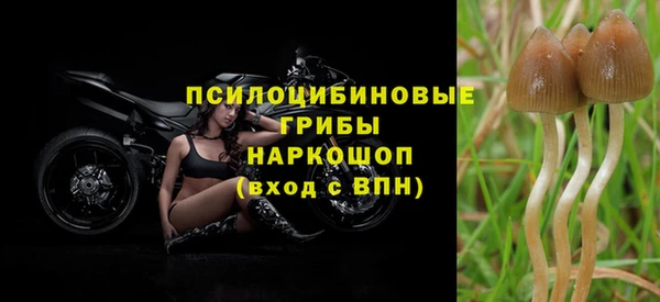 ГАЛЛЮЦИНОГЕННЫЕ ГРИБЫ Няндома