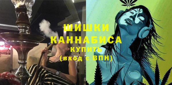 ГАЛЛЮЦИНОГЕННЫЕ ГРИБЫ Няндома