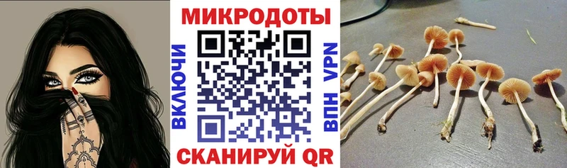 Галлюциногенные грибы Psilocybine cubensis  Кирс 